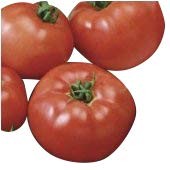 Tomate -Brandywine Rot- 10 Samen