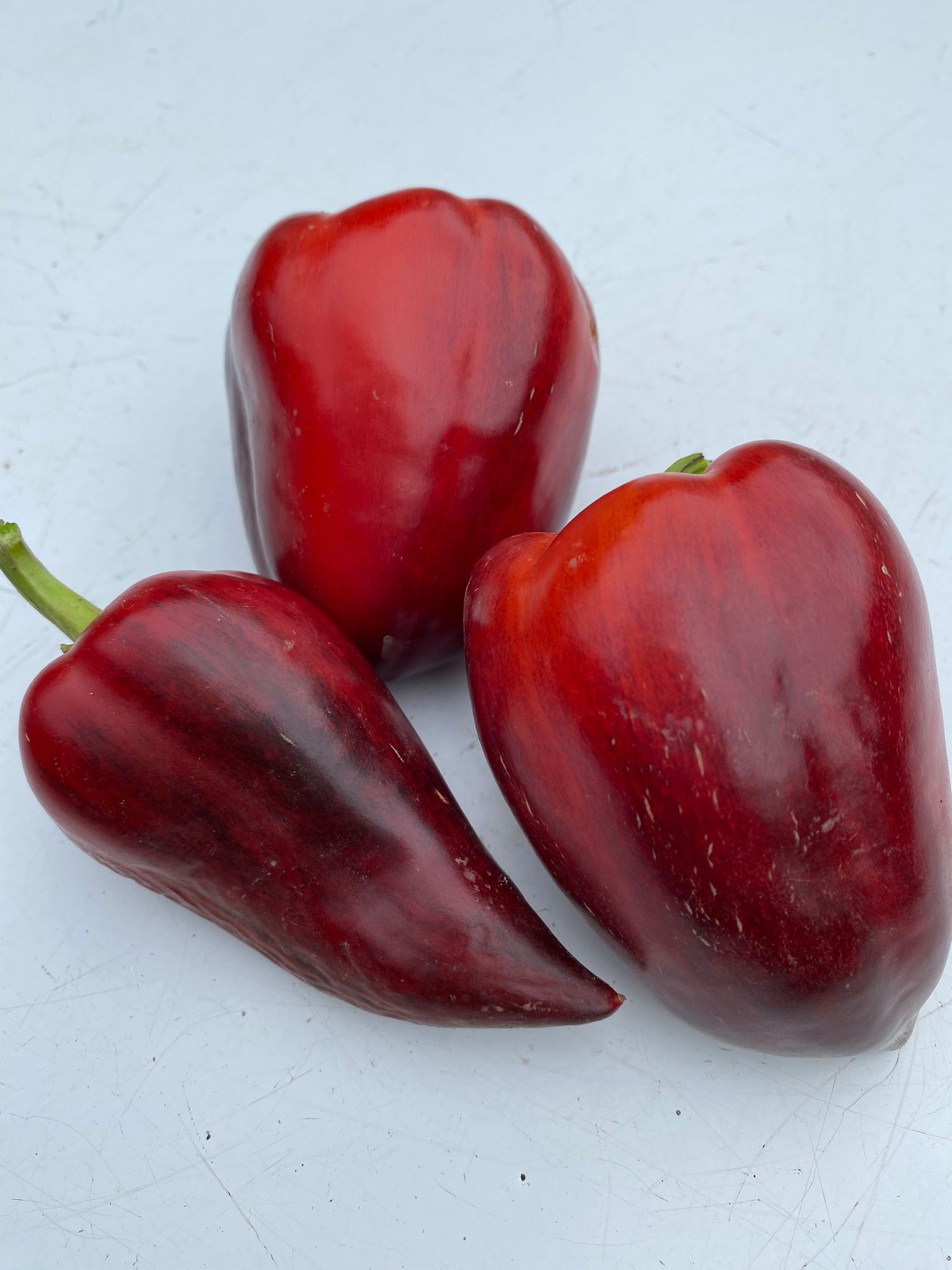 Paprika Violett Sparkle 10 Samen 