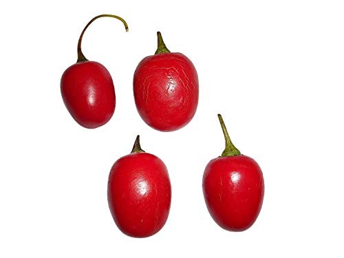 Mini Rocoto (Rot) 5 Samen