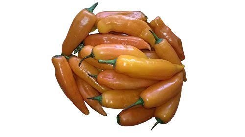 Aji Amarillo Chili 100 Samen  Super Ertrag/Riesen Früchte