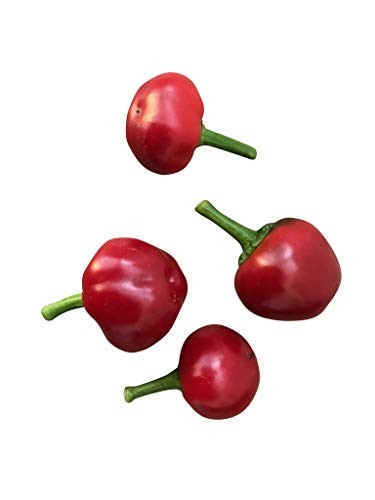 Large Red Cherry 10 Samen