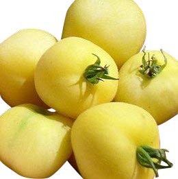 Gelbe Strauchtomate 10 Samen