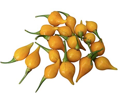 Chili Biquinho Amarelo 10 Samen
