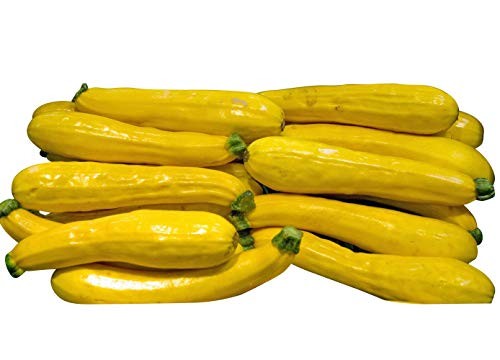 Zucchini Gelb -Golden Beauty- 10 Samen
