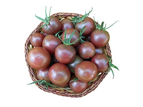 Tomate"Black-Cherry" 10 Samen