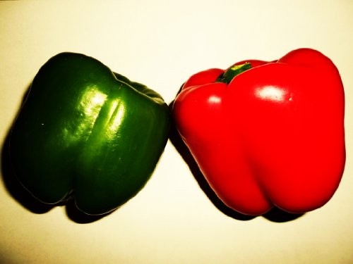 Paprika California Wonder Rot  25 Korn