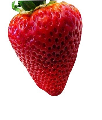 Riesen Erdbeere -f x maxima- 20 Samen