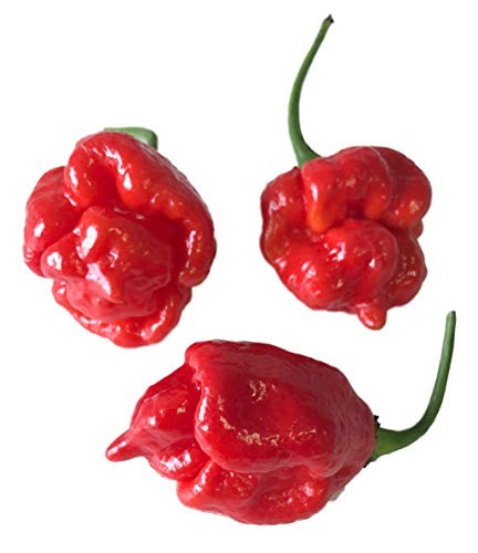 Trinidad Scorpion Butch T 10 Samen