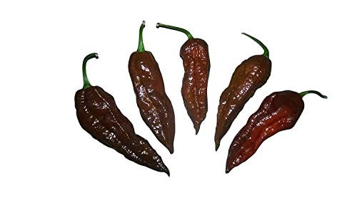 Chili Bhut Jolokia Chocolate 10 Samen