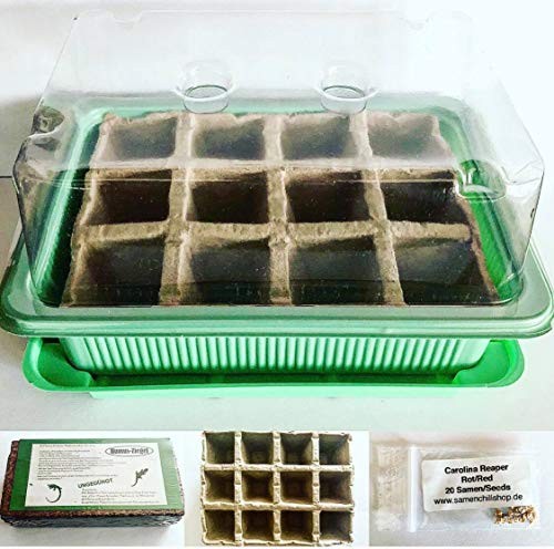 Carolina Reaper Chili 'Planting Set 6 parts (greenhouse seeds and substrate)