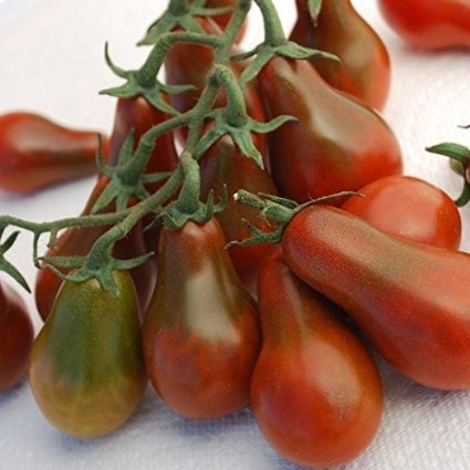 Tomate -Braunes Birnchen- 10 Samen -