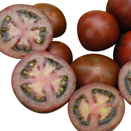 Russische Tomate -Black Russian- 10 Samen