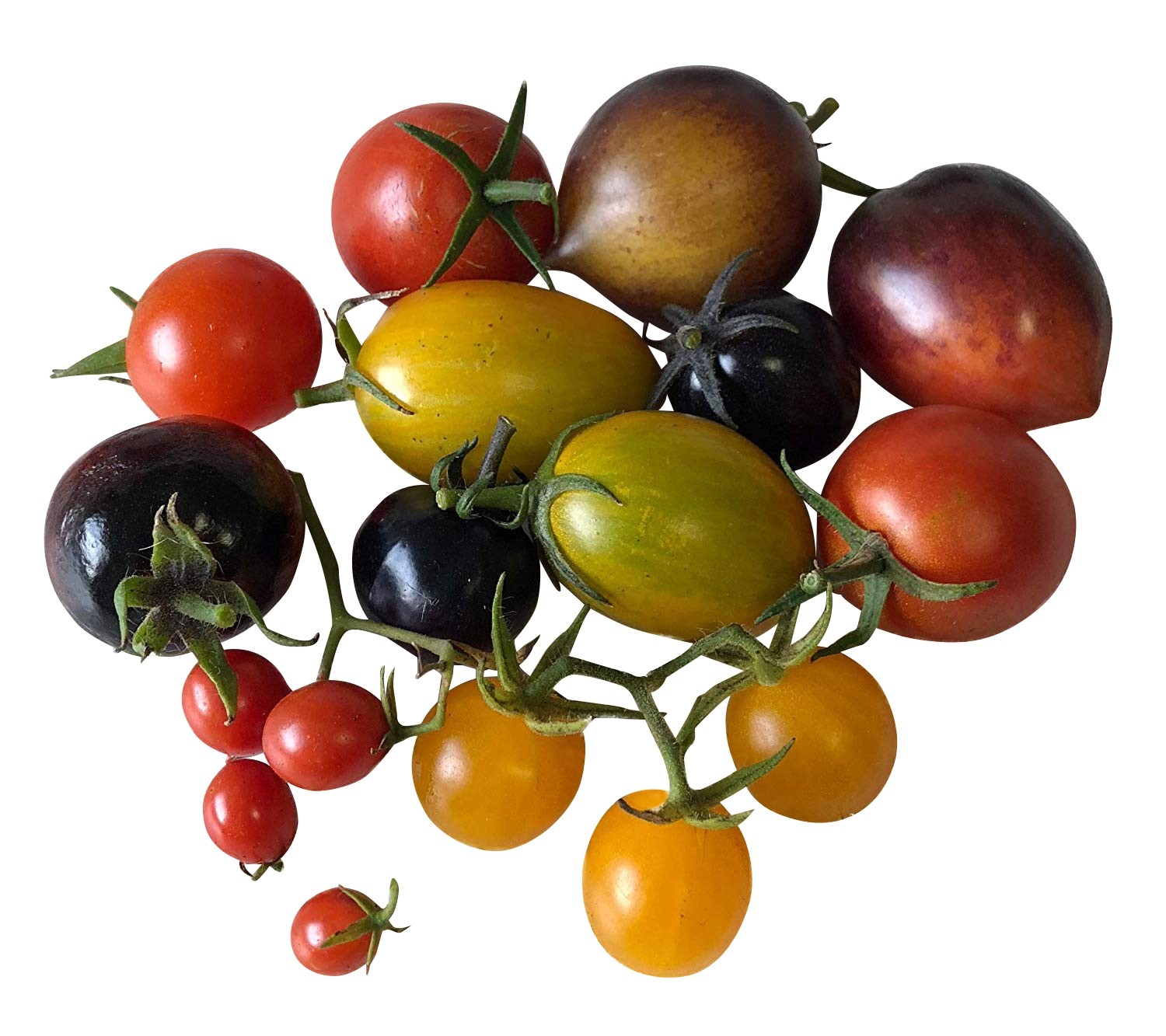 Zuckersüßer Tomaten-Samen Mix ★ Top Ertrag & Sehr Süß ★ 5 Sorten