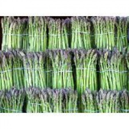 kranz knstlich Knstlicher Tannenkranz Maik | 30 cm