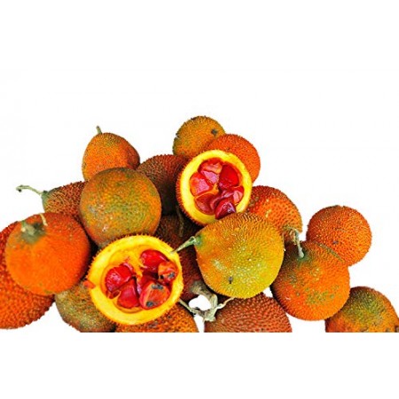 Baby Jackfrucht -Momordica cochinchinensis- 3 Samen