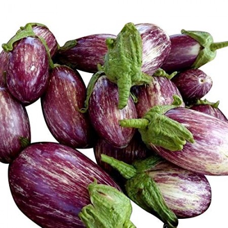 Aubergine -Violett-Gestreift- 10 Samen
