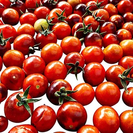 Blaue Tomate Blueberry 10 Samen