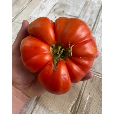 Bulgarische Riesentomate 10 Samen 
